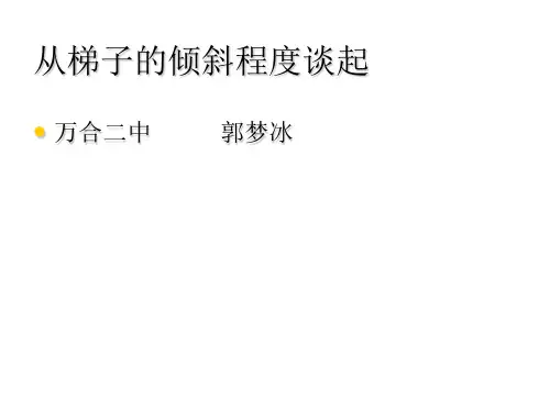 从梯子的倾斜程度谈起(2)1790731页PPT