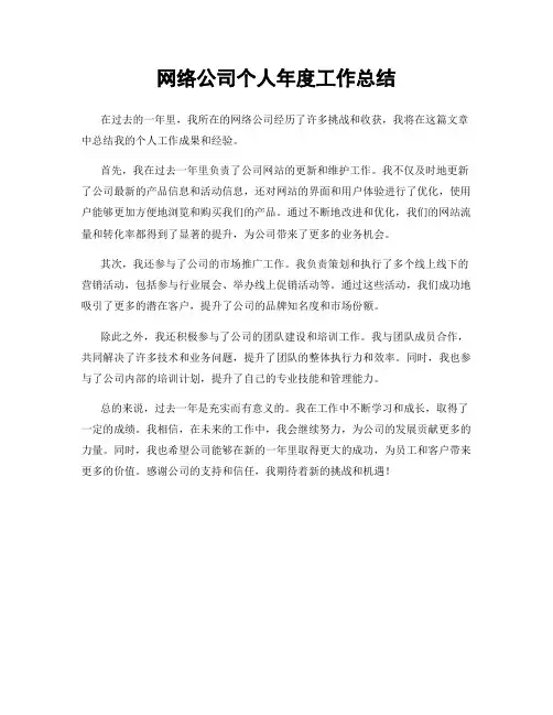 网络公司个人年度工作总结