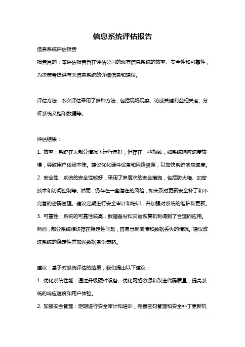 信息系统评估报告