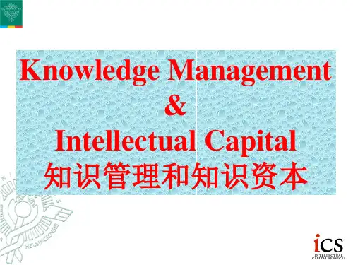 知识管理和知识资本讲义.pptx