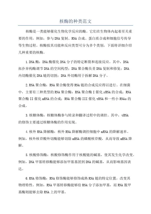 核酶的种类范文