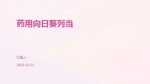 药用向日葵列当