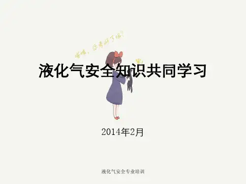 液化气安全专业培训