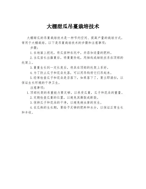 大棚甜瓜吊蔓栽培技术