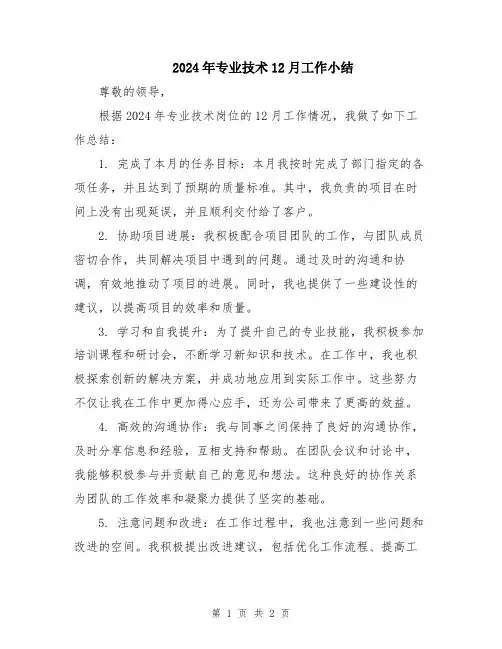 2024年专业技术12月工作小结