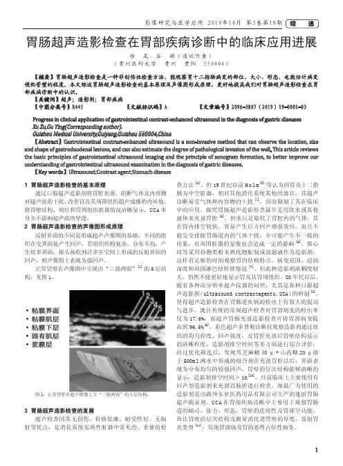 胃肠超声造影检查在胃部疾病诊断中的临床应用进展