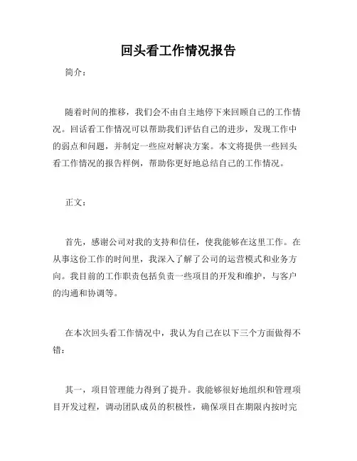 回头看工作情况报告