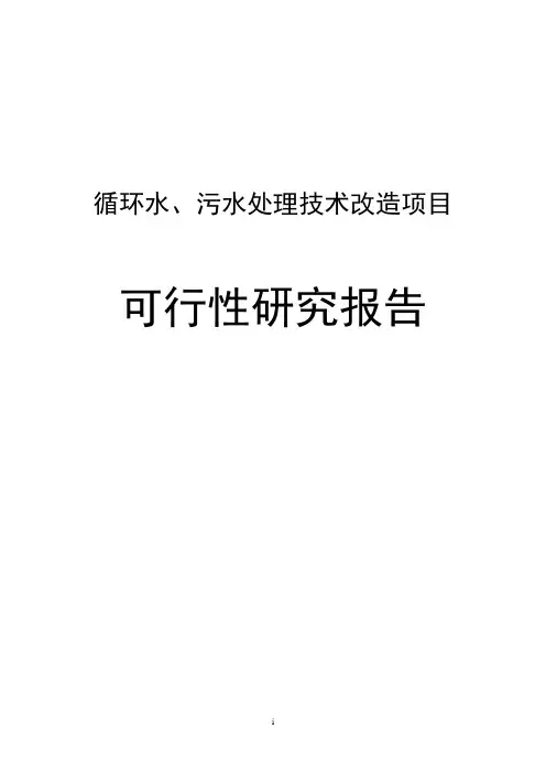 某化学工业股份有限公司循环水、污水处理技术改造项目可行性研究报告