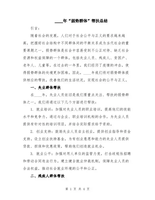 2024年“弱势群体”帮扶总结