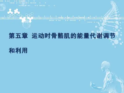 运动生物化学(第二版)课件第五六章