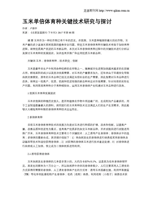 玉米单倍体育种关键技术研究与探讨
