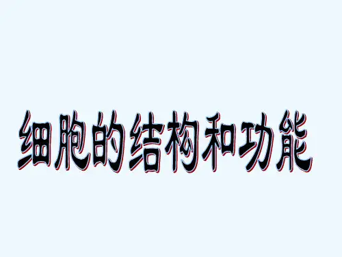 细胞结构和功能 PPT课件