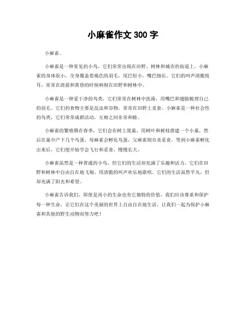 小麻雀作文300字