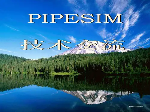 pipesim软件技术交流 ppt课件