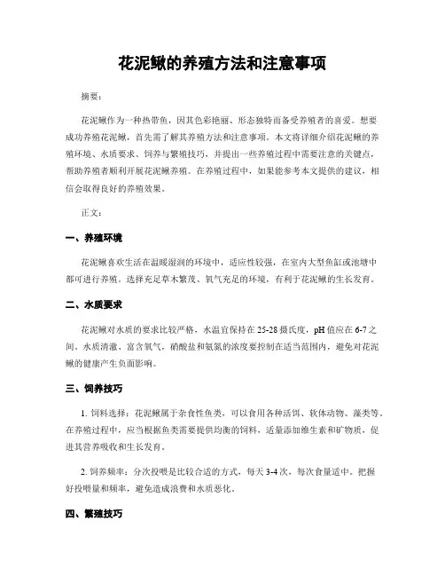 花泥鳅的养殖方法和注意事项