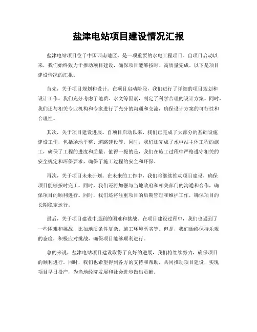盐津电站项目建设情况汇报
