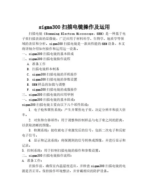 sigma300扫描电镜操作及运用