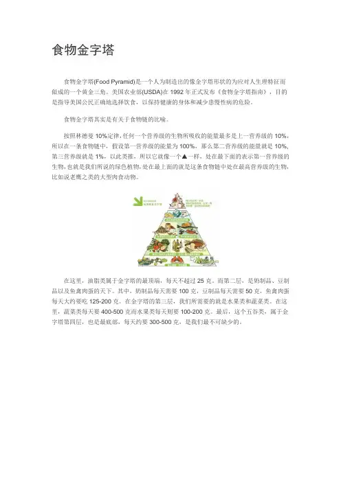 食物金字塔