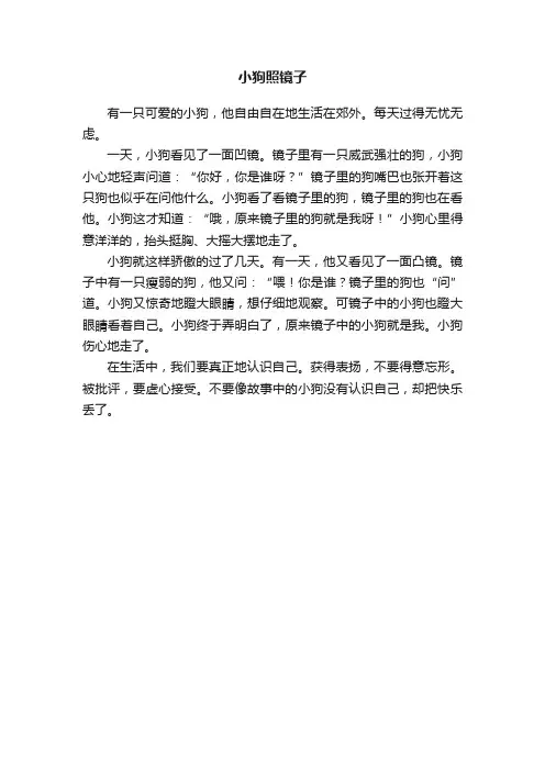 小狗照镜子