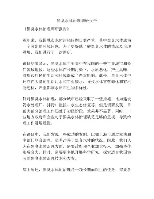 黑臭水体治理调研报告