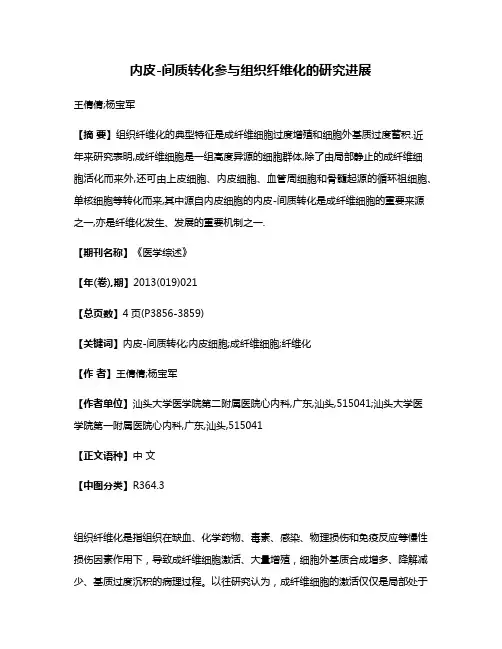 内皮-间质转化参与组织纤维化的研究进展