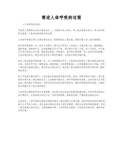 简述人体呼吸的过程
