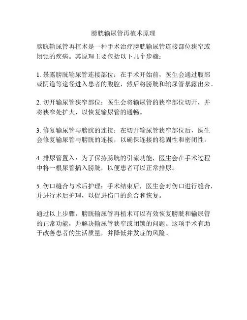 膀胱输尿管再植术原理