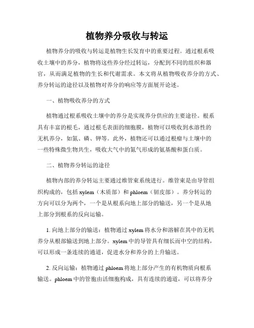 植物养分吸收与转运