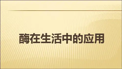 酶在生活中的应用 ppt课件