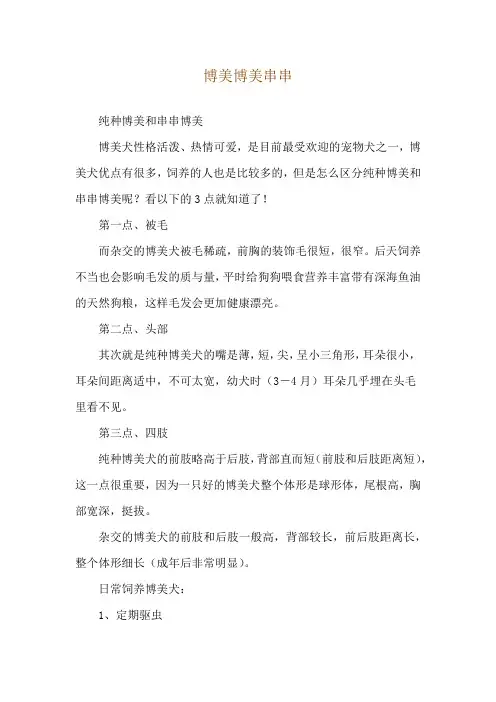 博美博美串串
