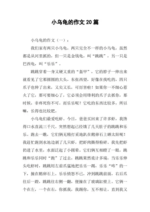 小乌龟的作文20篇