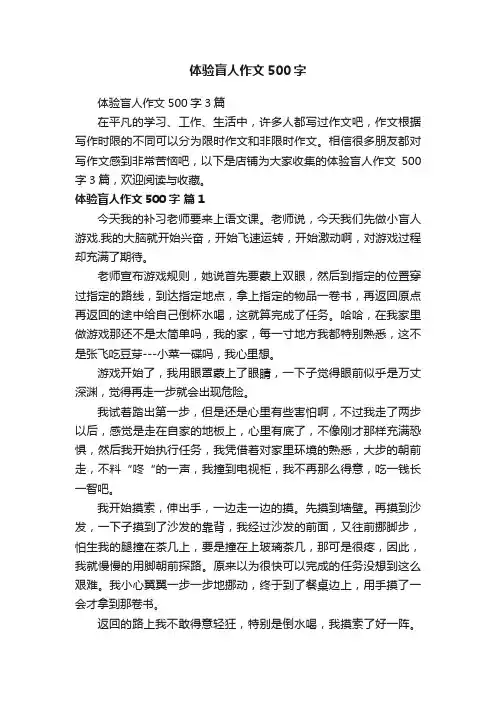 体验盲人作文500字
