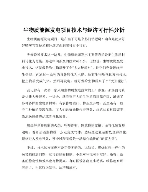 生物质能源发电项目技术与经济可行性分析