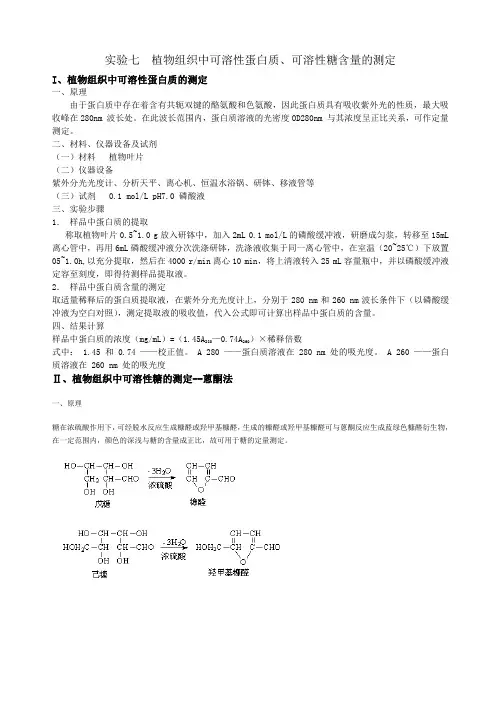 实验七植物组织中可溶性蛋白质