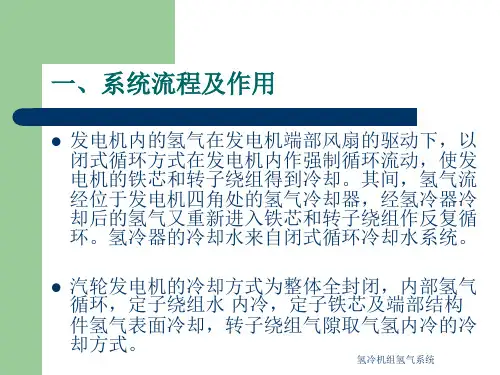 氢冷机组氢气系统课件