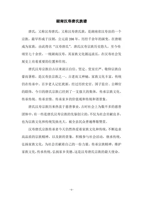 湖南汉寿唐氏族谱