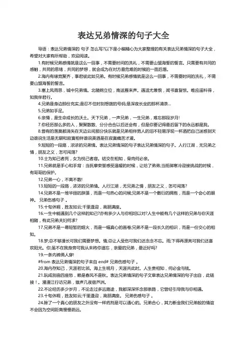 表达兄弟情深的句子大全