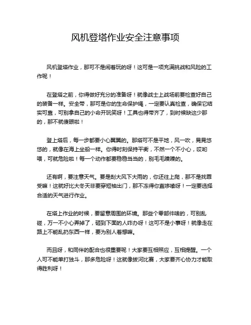 风机登塔作业安全注意事项