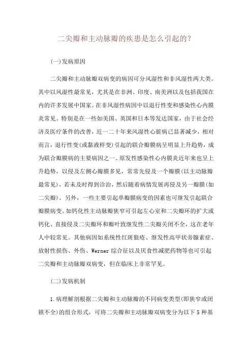二尖瓣和主动脉瓣的疾患是怎么引起的？