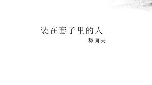 《装在套子里的人》PPT课件
