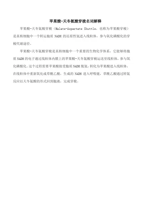 苹果酸-天冬氨酸穿梭名词解释