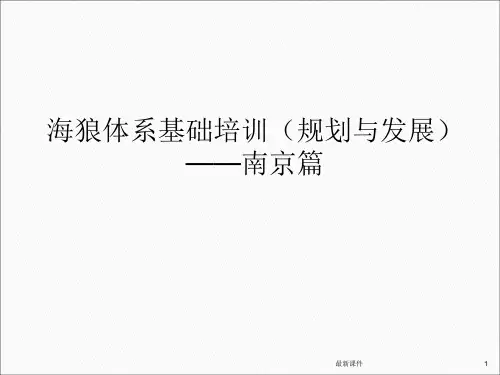 城市规划与发展——南京篇ppt课件
