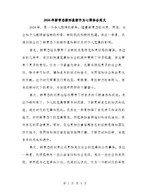 2024年新常态新形象新作为心得体会范文(二篇)