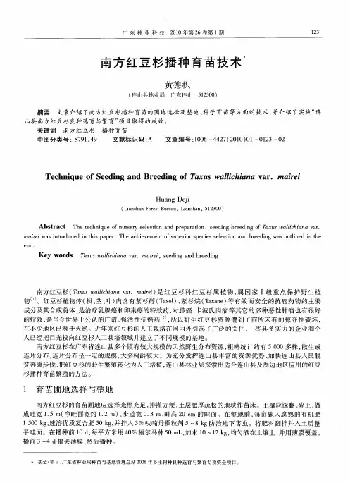 南方红豆杉播种育苗技术