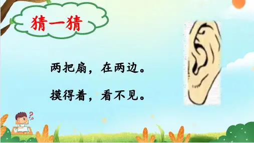 一年级上册语文3口耳目 课件(共20张PPT)
