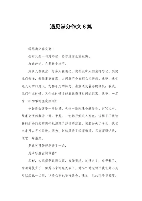 遇见满分作文6篇