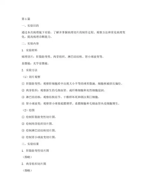 病理镜下实验报告(3篇)