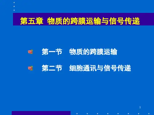第五章-跨膜运输
