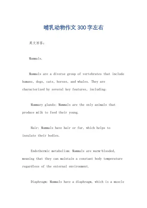 哺乳动物作文300字左右