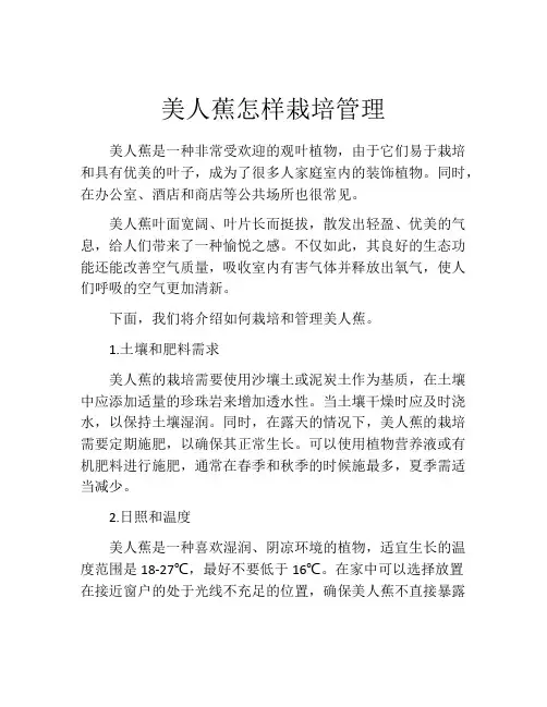美人蕉怎样栽培管理